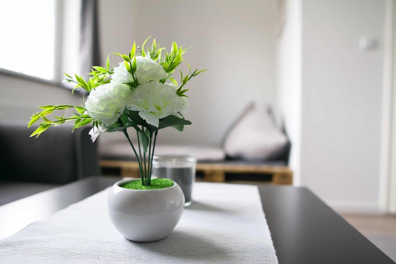 Heide Ferienwohnung Sued Schneverdingen Exterior foto